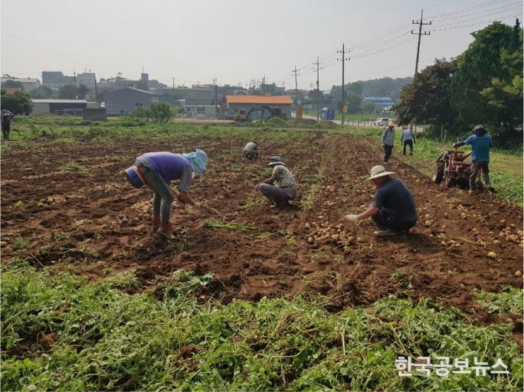 기사 사진