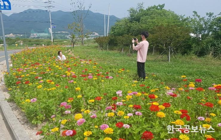 기사 사진