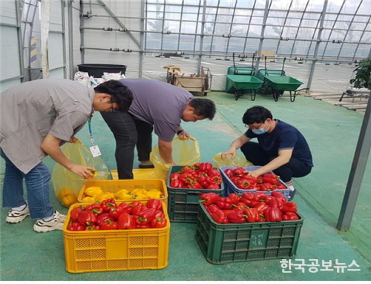 기사 사진