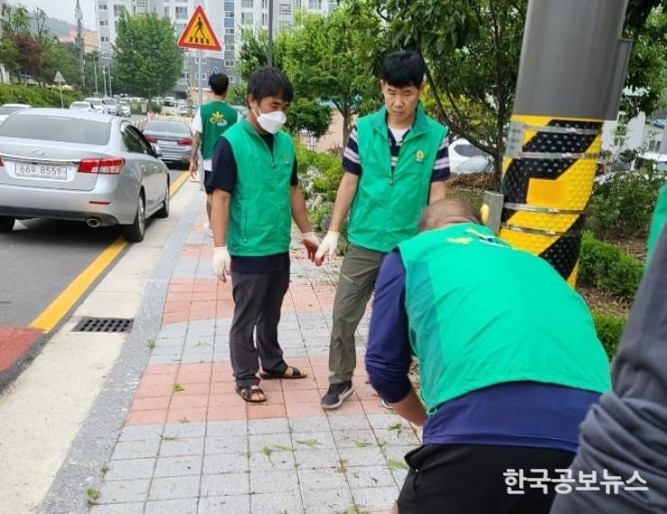 기사 사진