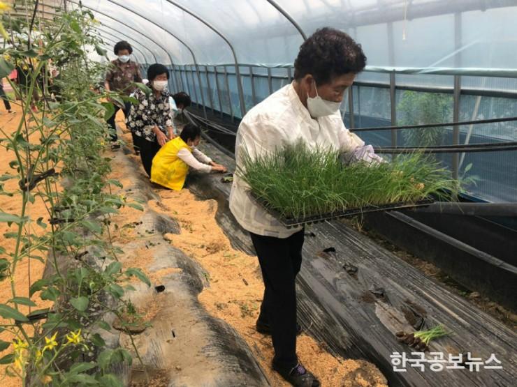 기사 사진
