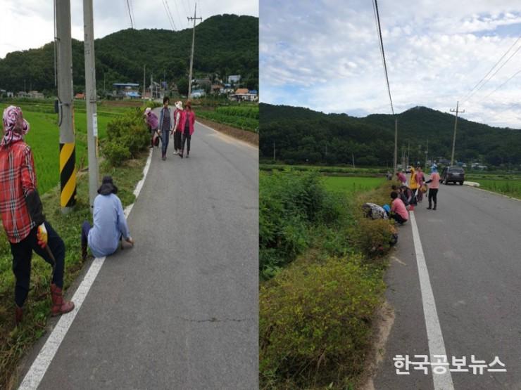 기사 사진