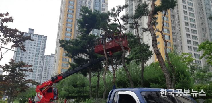기사 사진