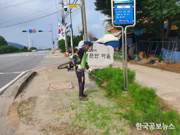 기사 사진