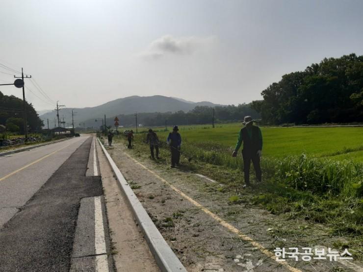 기사 사진