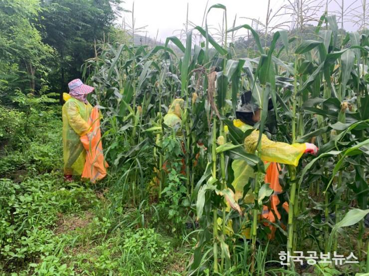 기사 사진