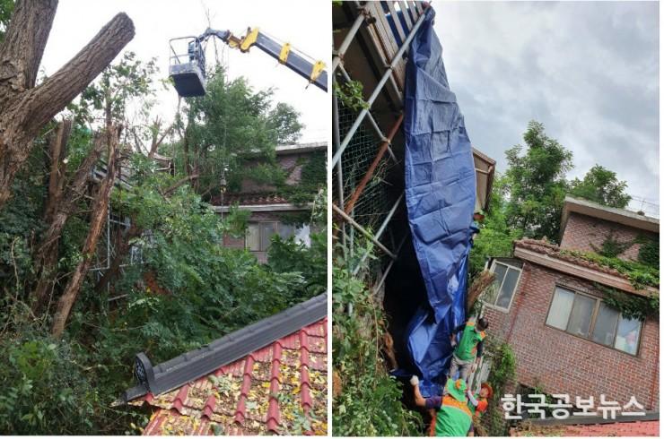 기사 사진