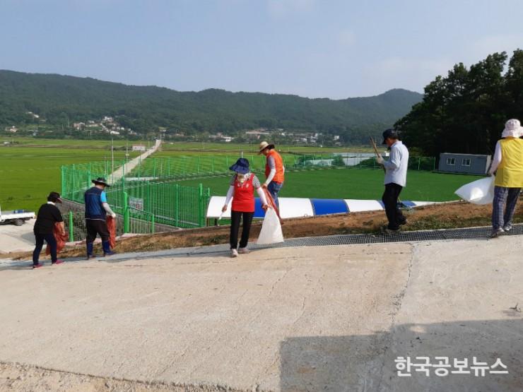 기사 사진