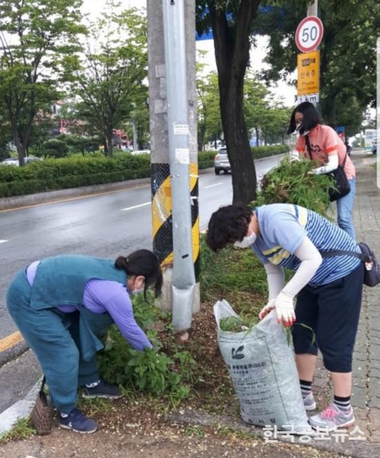 기사 사진