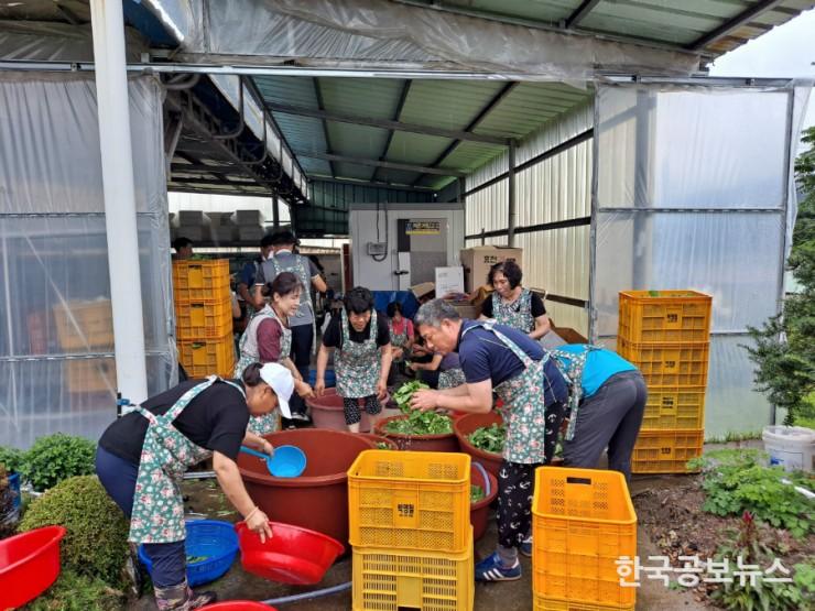 기사 사진