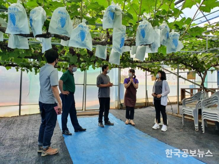 기사 사진