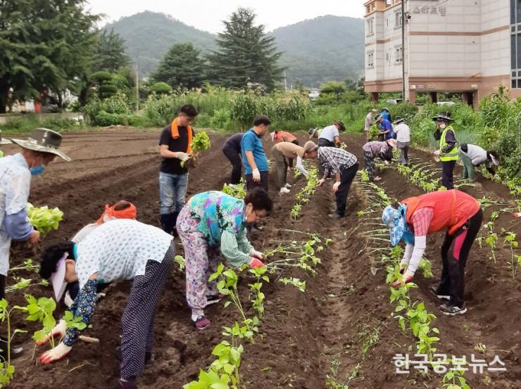 기사 사진