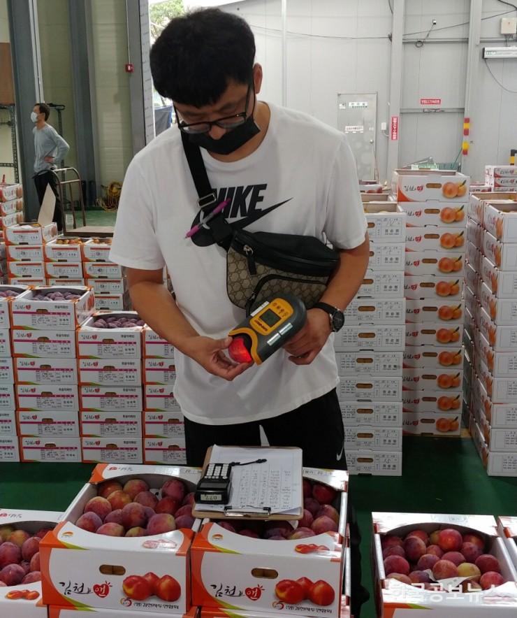 기사 사진