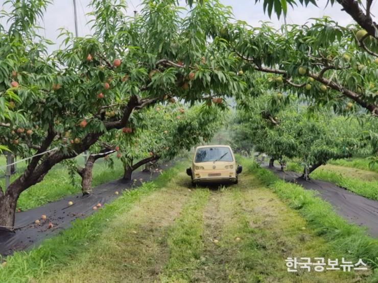 기사 사진