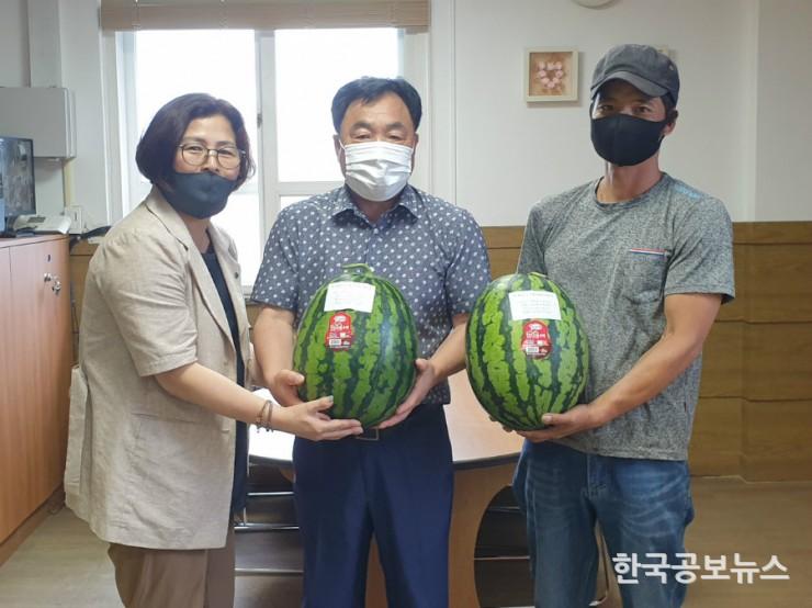 기사 사진