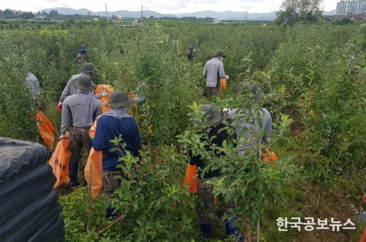 기사 사진