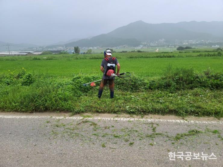 기사 사진