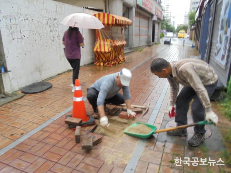 기사 사진