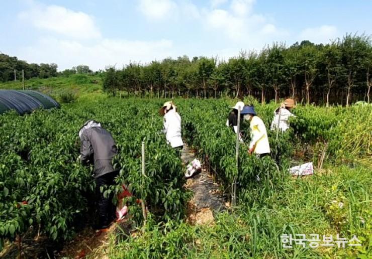 기사 사진