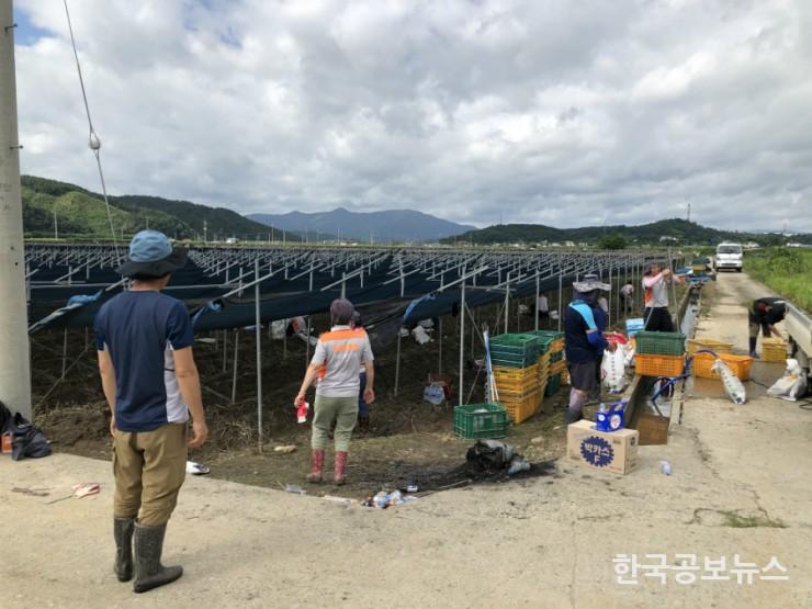 기사 사진
