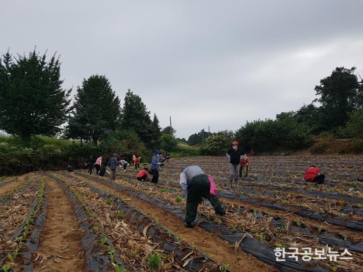 기사 사진