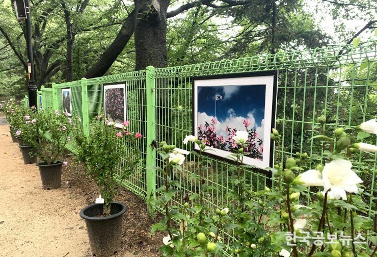 기사 사진