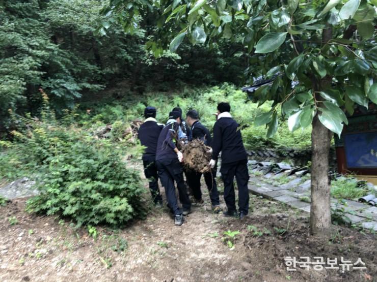 기사 사진