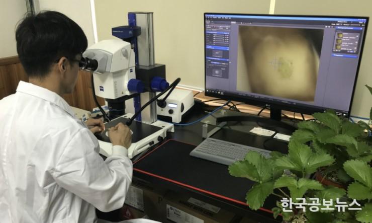 기사 사진