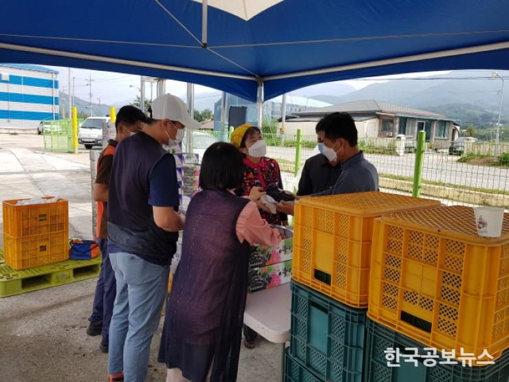 기사 사진