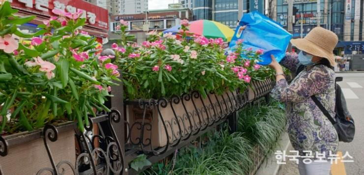 기사 사진