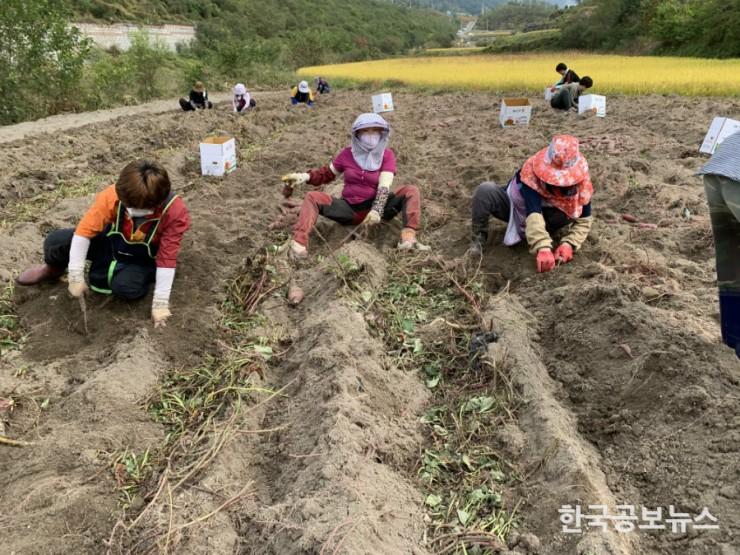기사 사진