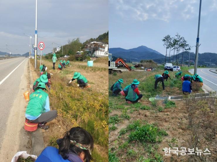 기사 사진