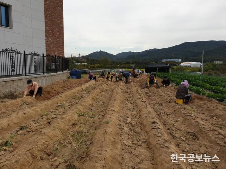기사 사진