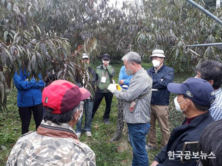 기사 사진