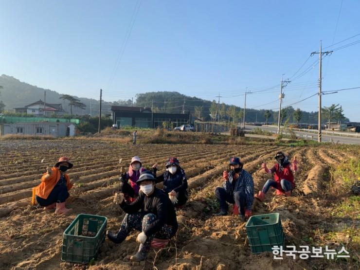 기사 사진