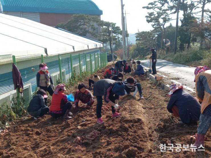 기사 사진