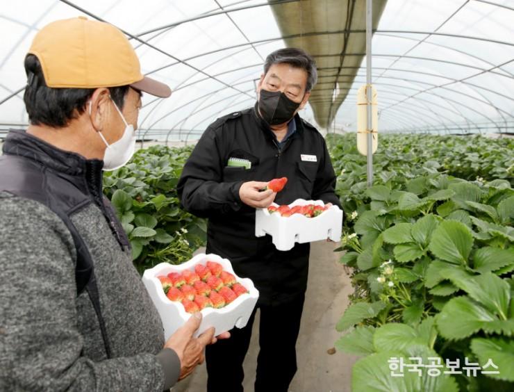 기사 사진