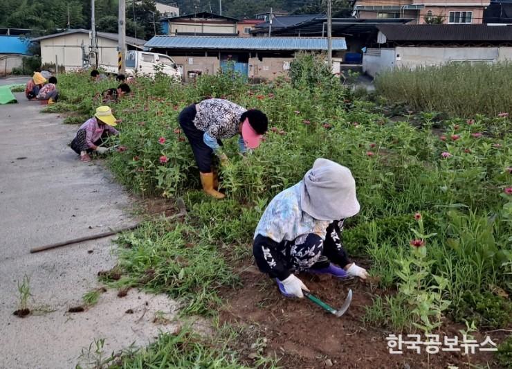 기사 사진