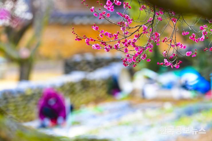 기사이미지 https://kpnnews.cdn.ntruss.com/202405160644411715852681495