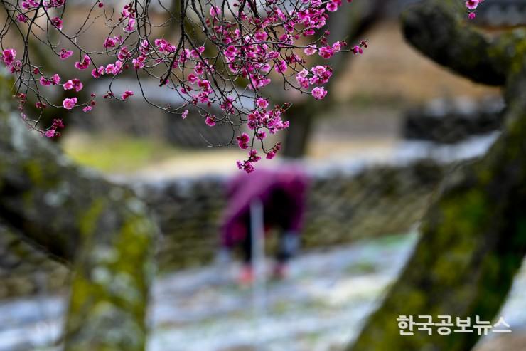 기사이미지 https://kpnnews.cdn.ntruss.com/202405160644421715852682140