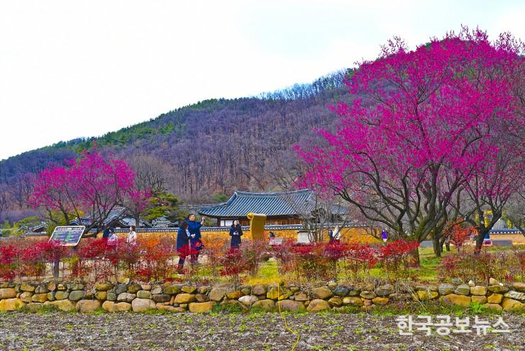 기사이미지 https://kpnnews.cdn.ntruss.com/202405160644421715852682367