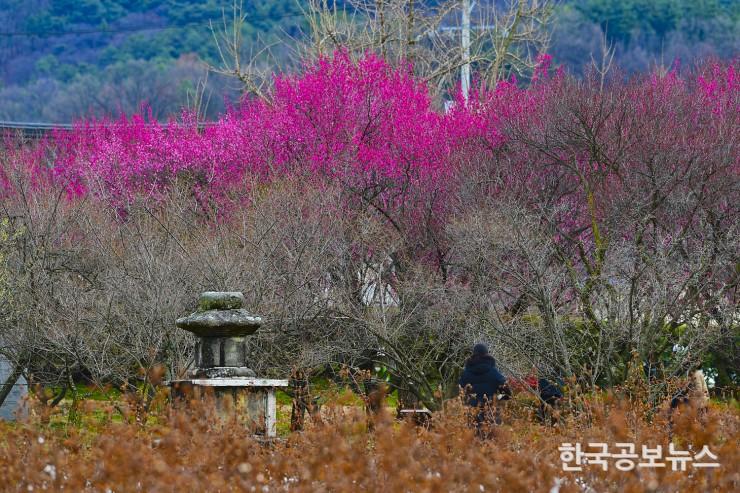 기사이미지 https://kpnnews.cdn.ntruss.com/202405160644421715852682793