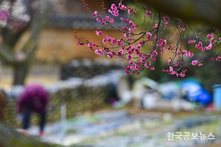 기사이미지 https://kpnnews.cdn.ntruss.com/202405160644431715852683206