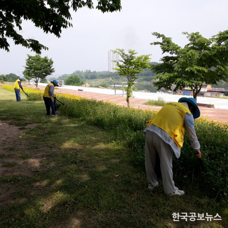 기사 사진
