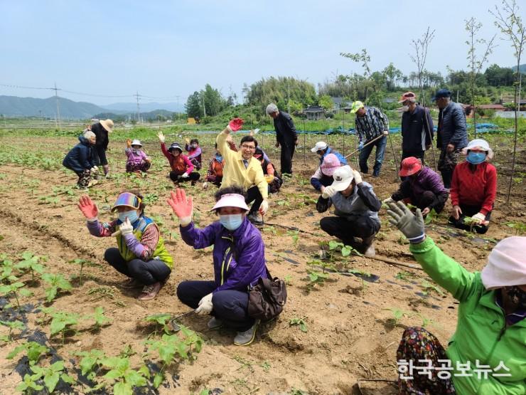 기사 사진
