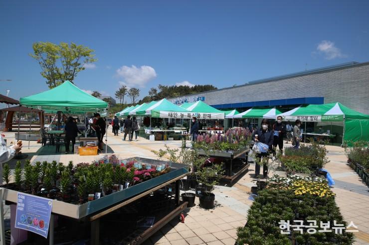 기사 사진