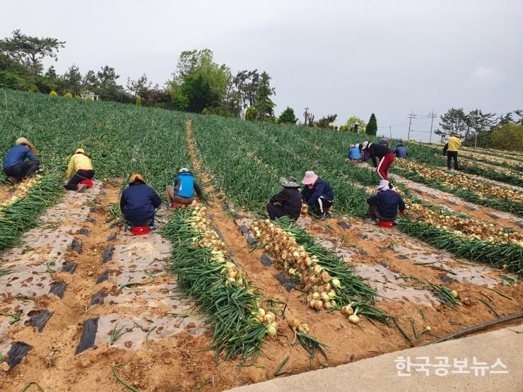 기사 사진