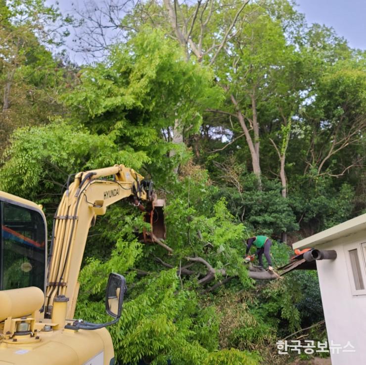 기사 사진