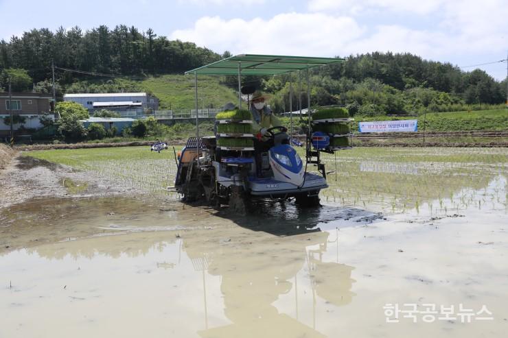 기사 사진