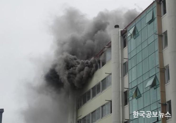 기사 사진